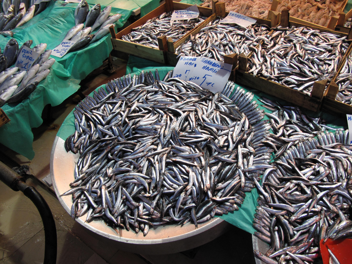 Mercato del pesce a ISTANBUL