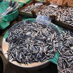 Mercato del pesce a ISTANBUL
