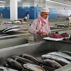 Mercato del pesce a Muscat