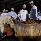 Mercato delle capre