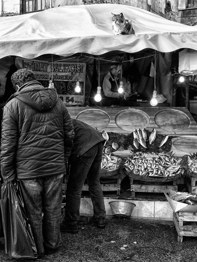 MercatoDelPesce (istanbul)