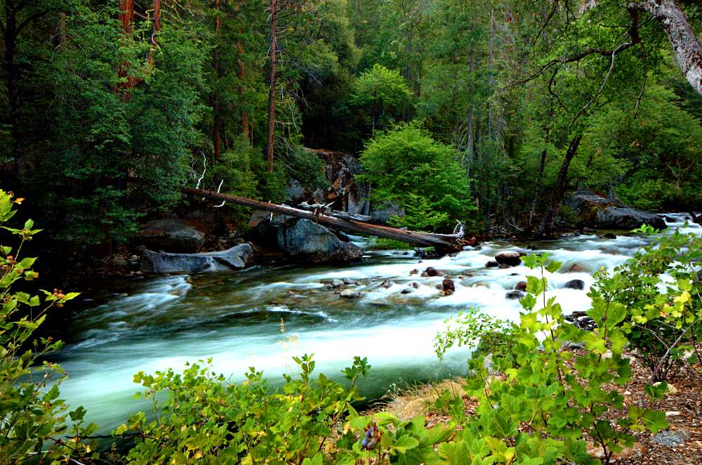 Merced River