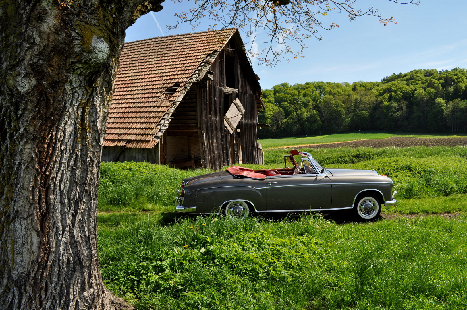 Mercedes 220S in der Natur