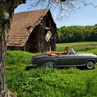 Mercedes 220S in der Natur