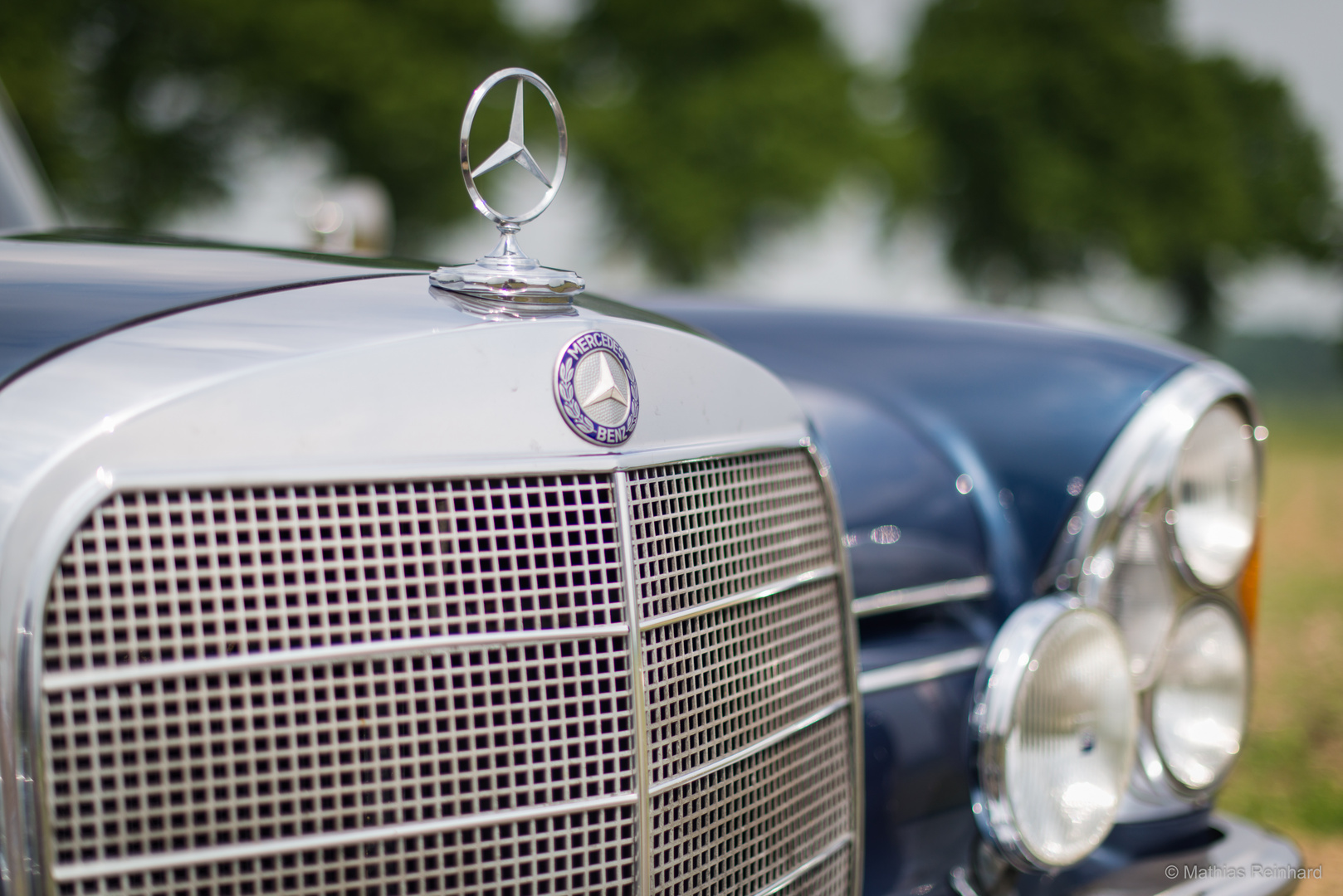 Mercedes 230S - Front