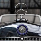 Mercedes Benz (1)