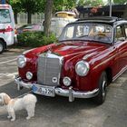 Mercedes Benz 220S