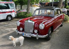 Mercedes Benz 220S