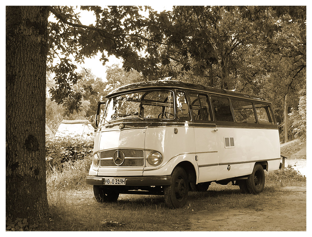 Mercedes Benz O 319 »Panorama«