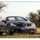 Mercedes-Benz SLK in Farbe