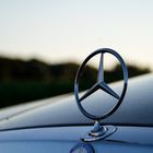 Mercedes-Benz Stern