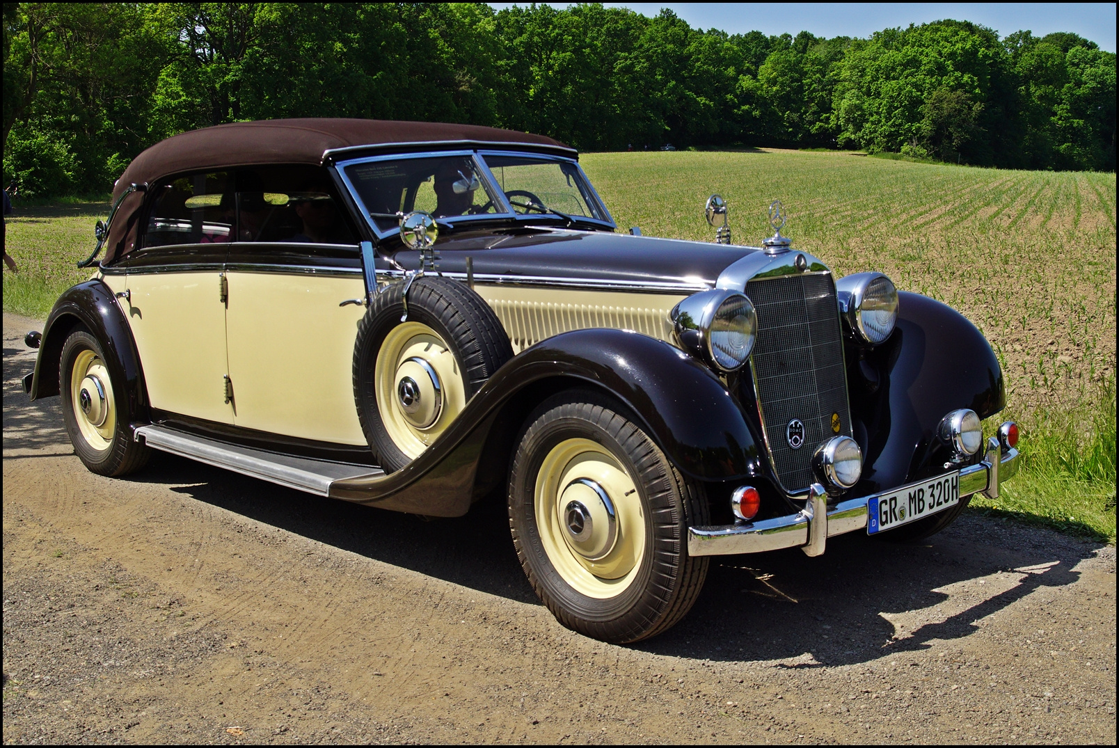 Mercedes Benz W 142 Foto & Bild deutschland, europe, sachsen Bilder