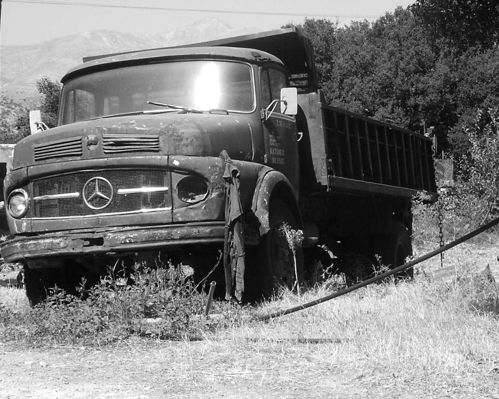 Mercedes genießt die Sommersonne