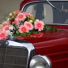 Mercedes mit Blumenschmuck