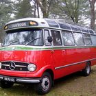 Mercedes O319 Norwegischer Schulbus