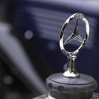 mercedes-stern