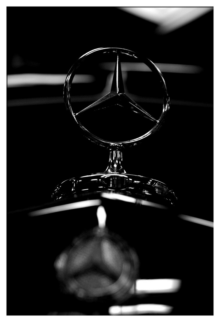 Mercedes Stern....