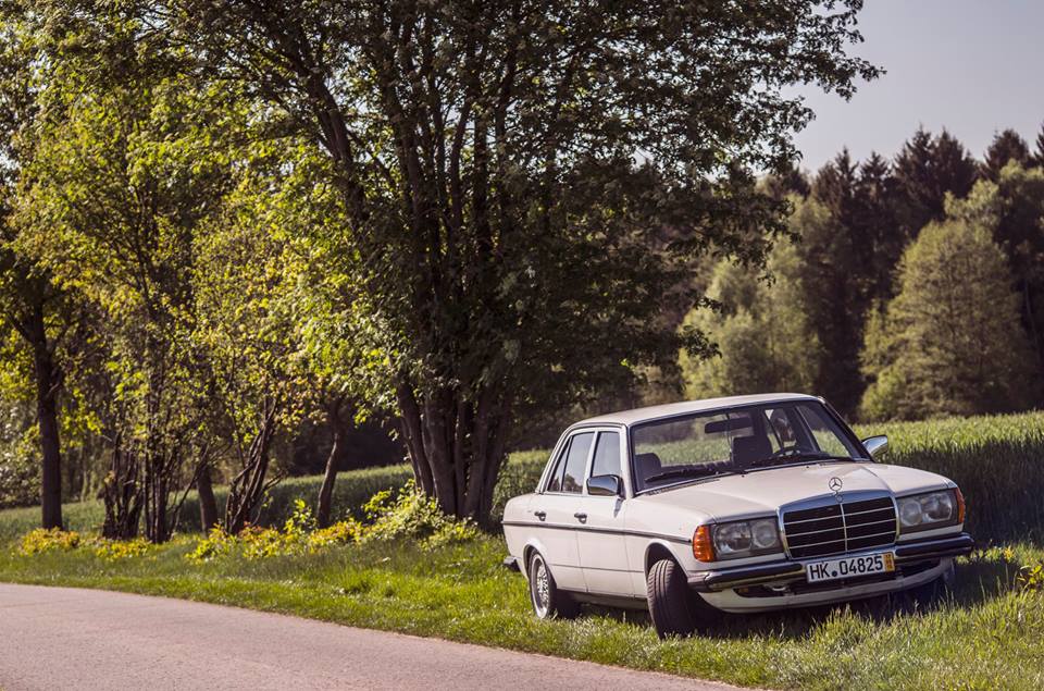 Mercedes W123 auf Landstraße