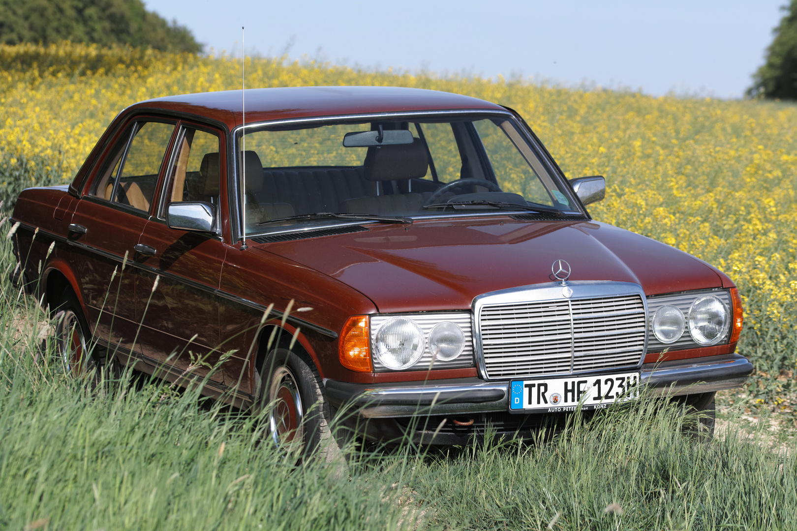 Mercedes W123