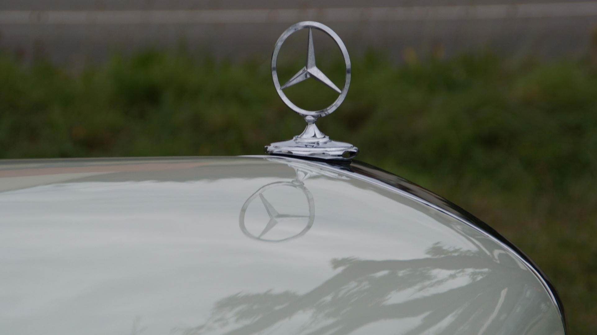 Mercedesstern