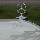 Mercedesstern