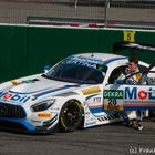 Merceds-Benz AMG Team Zakspeed - Nikolay Rogivue