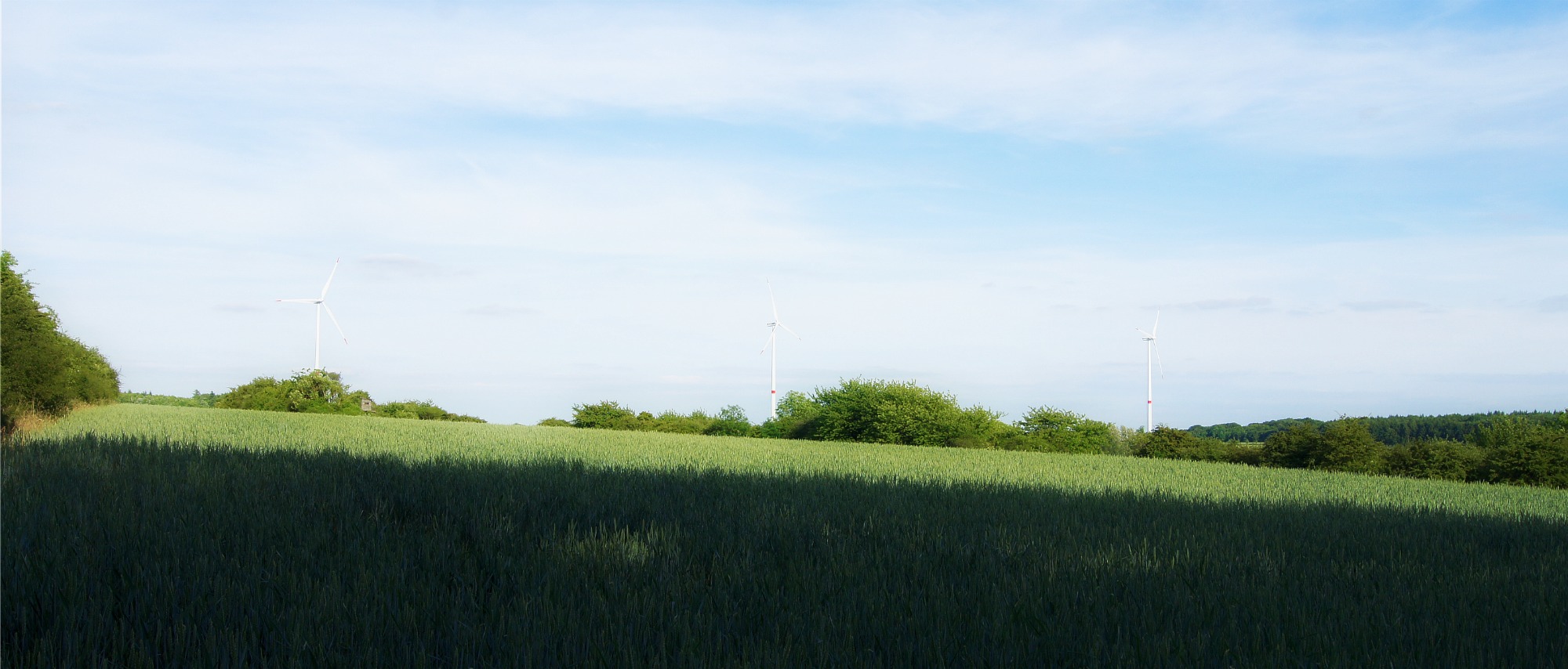 Merchinger Windpark