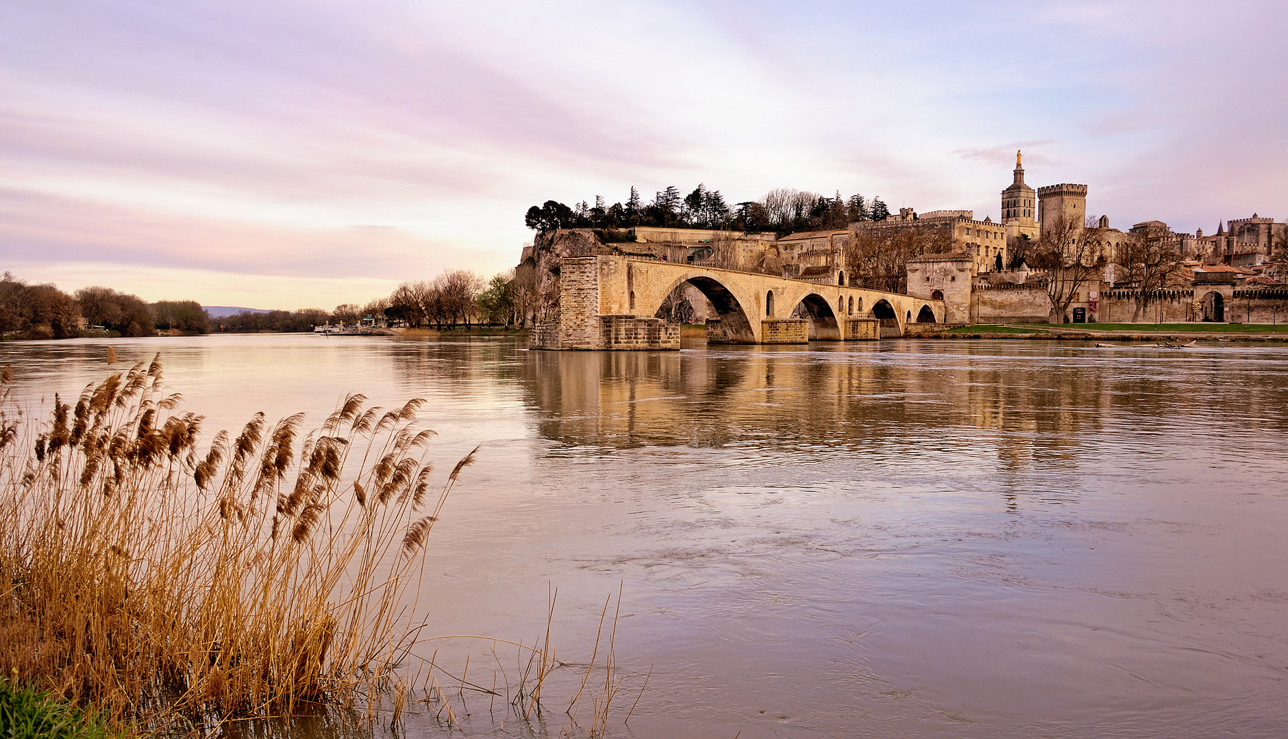 Merci Avignon