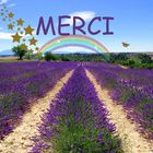 Merci !