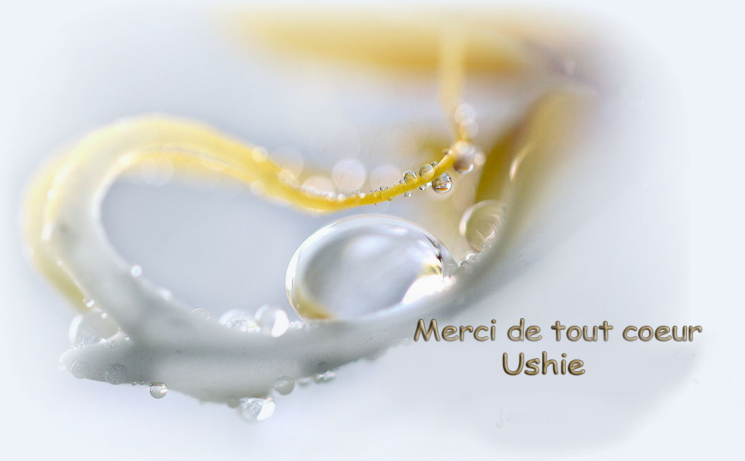 Merci Ushie