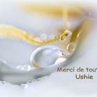 Merci Ushie