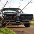 Mercury Cougar Dan Gurney Special 1967 #2