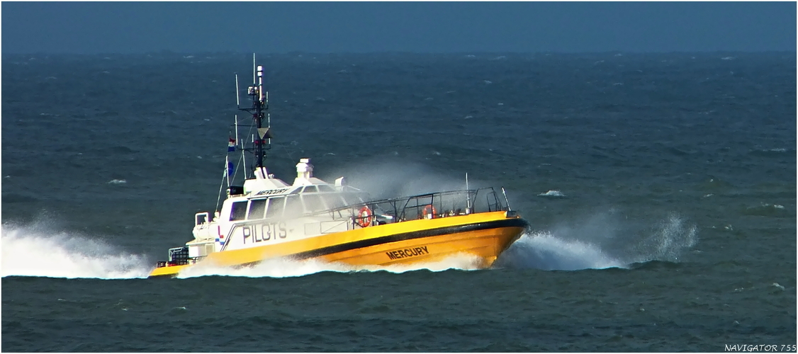 MERCURY / Pilot Vessel / Maasmond / Rotterdam