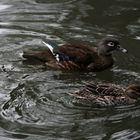 Mère et fille !