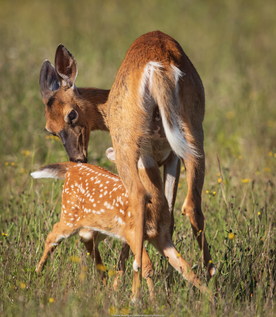 Mère nature et sa progéniture !