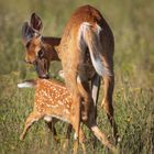 Mère nature et sa progéniture !