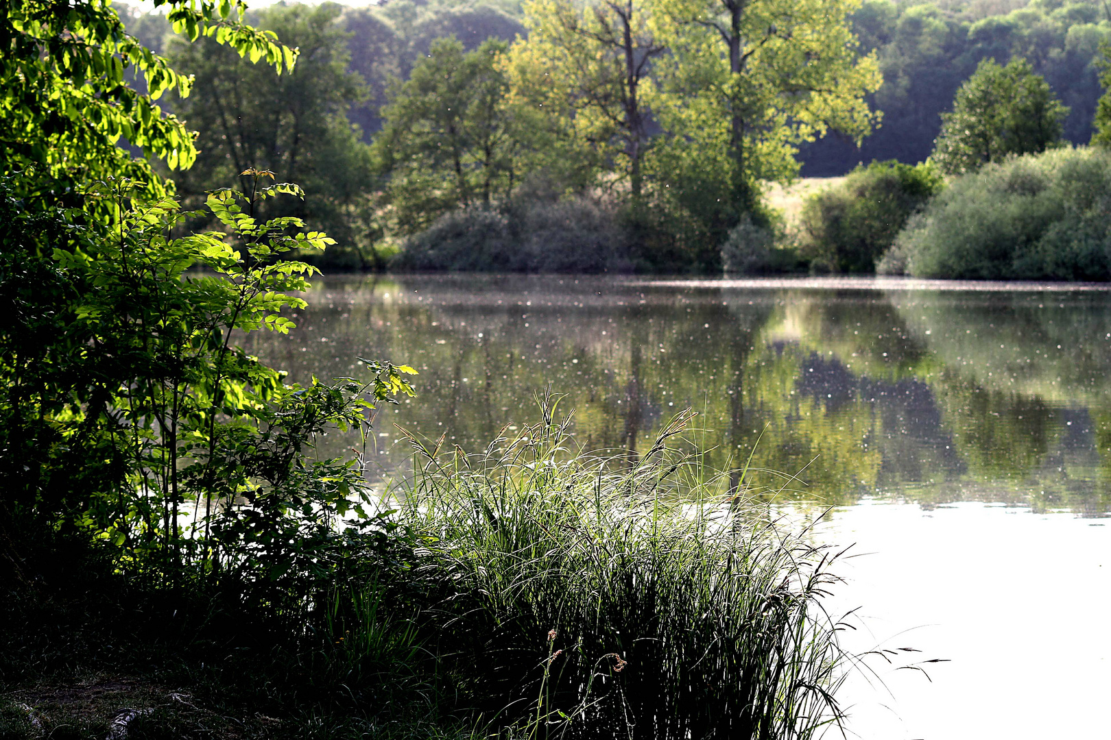 Merenberg Westerwald Vöhler Weiher