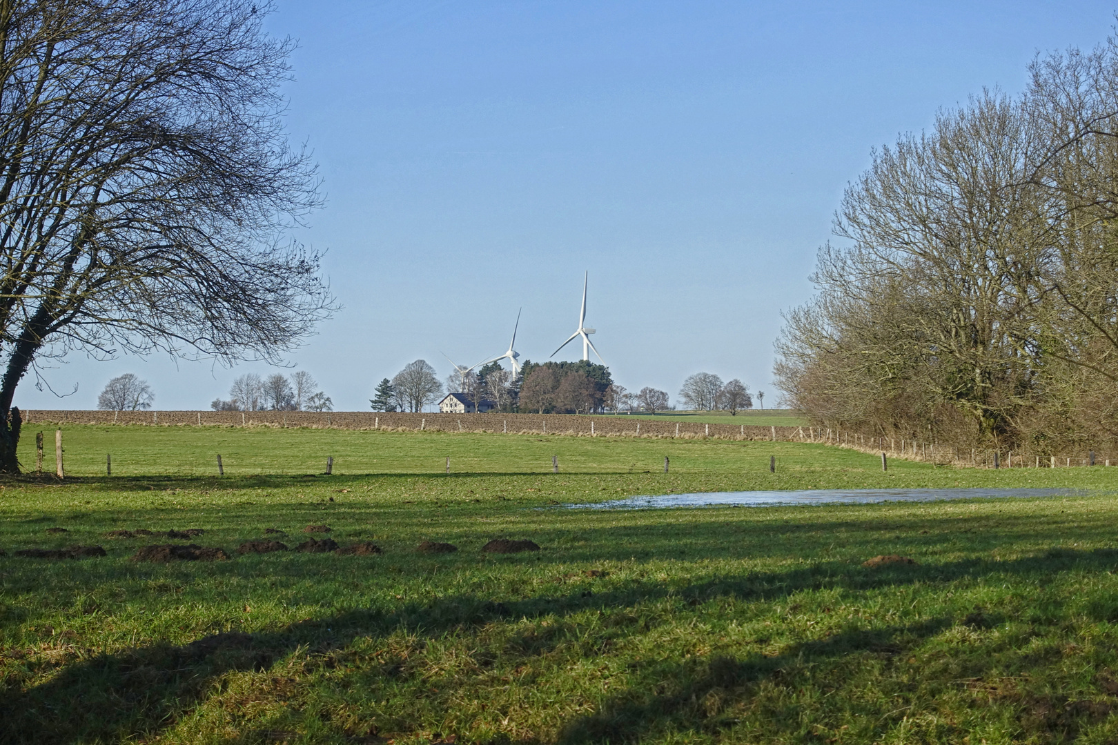 Mergelland Frühling im Winter