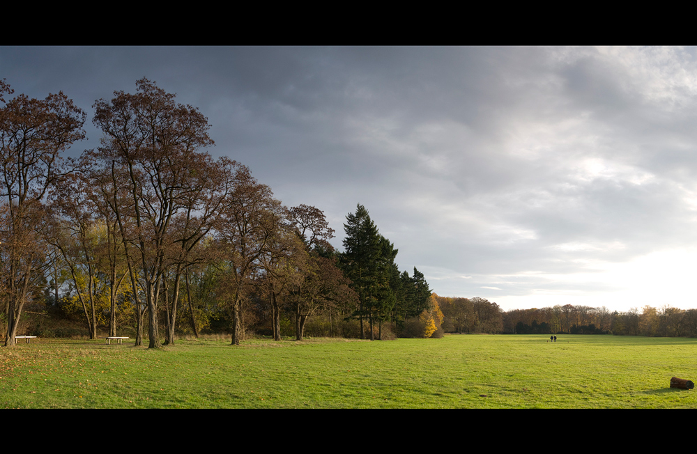 Merheimer Heide Novemberwetter