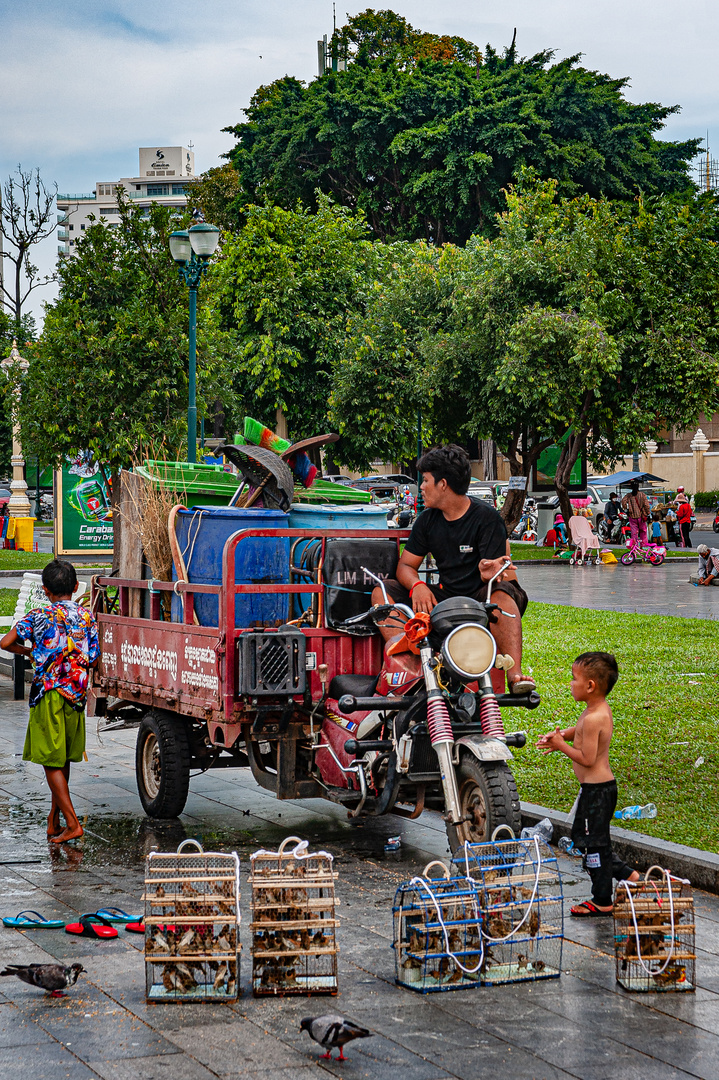 Merit bird sellers along the street to sell