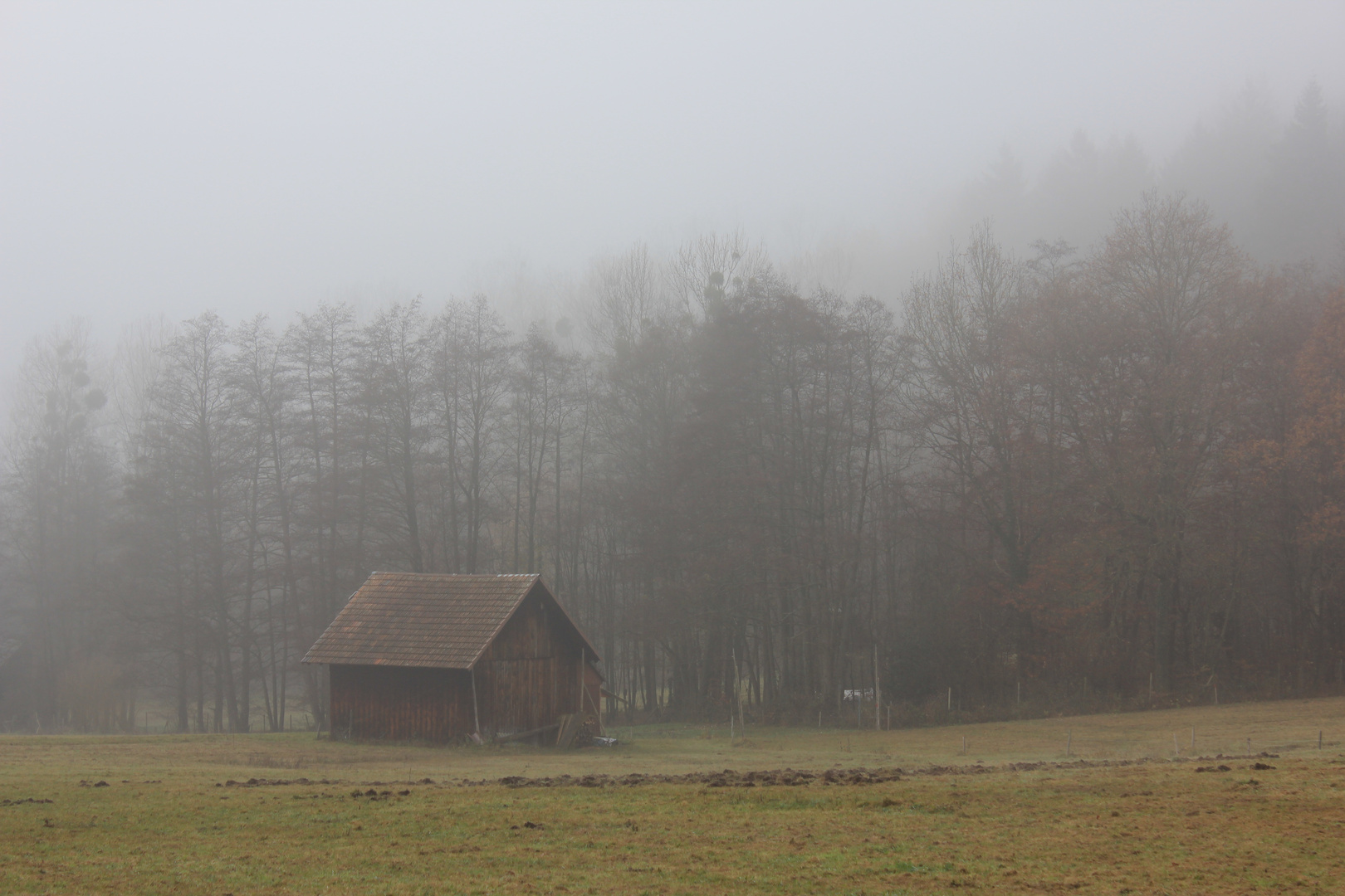 Merkur im Nebel