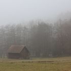 Merkur im Nebel