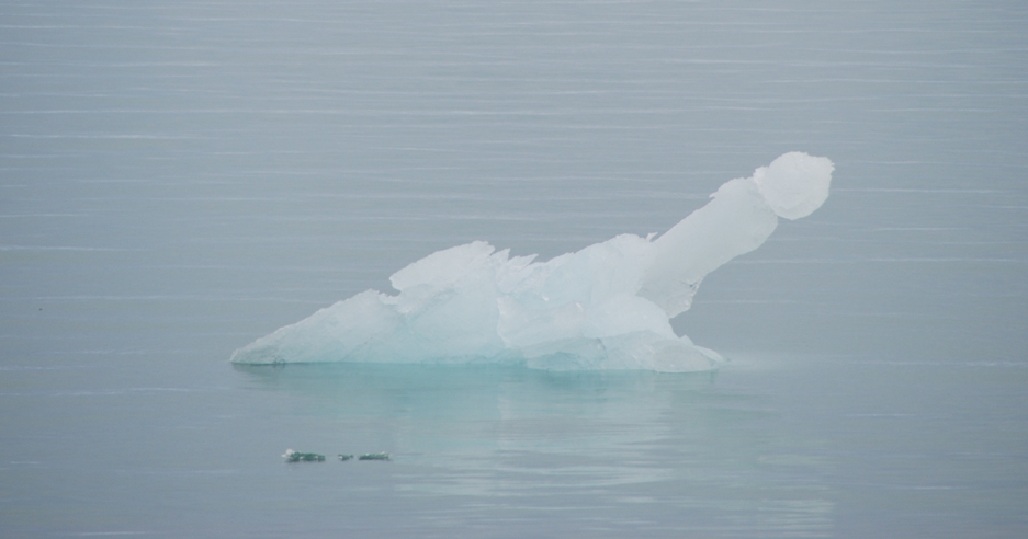 Merkwürdig geformte Eisscholle :-) Spitzbergen - Norwegen - Juli 2007