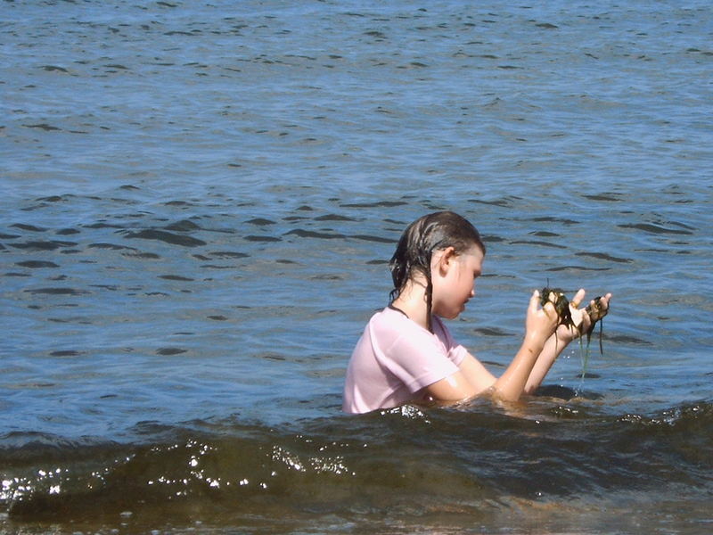 Merkwürdig... Spinat in der Ostsee?