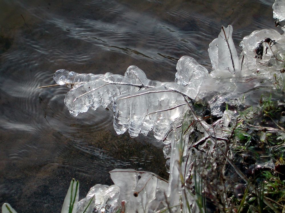 Merkwürdige Eisskulpturen zaubert der Winter.