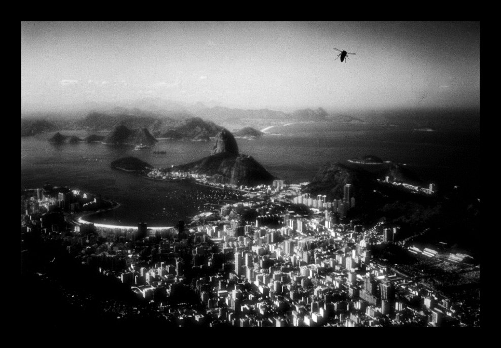 Merkwürdige Erinnerungen an Rio de Janeiro
