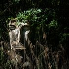 Merkwürdige Gestalten auf der Insel Mainau 2