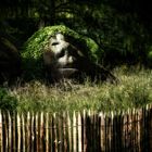 Merkwürdige Gestalten auf der Insel Mainau