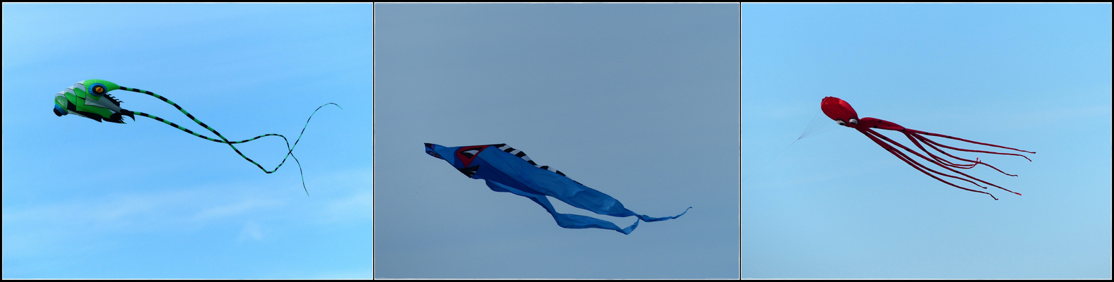 Merkwürdiges Getier am Himmel