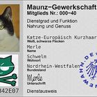 Merle (40) Nahrung und Genuss